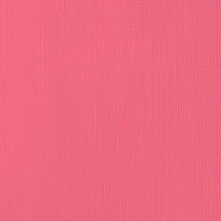 SBS - Cardstock - Grapefruit *
