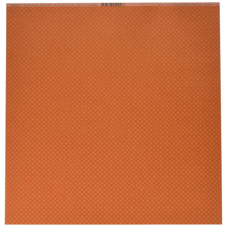 Bazzill Basics 12 x12 Cardstock  - Terra Cotta