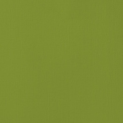 Couture Creations 12 X 12 Scrapbook Textured Cardstock - Leaf/Olive Grove 216gsm