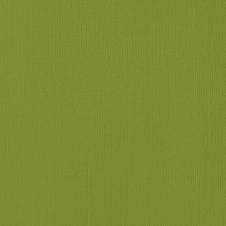 Couture Creations 12 X 12 Scrapbook Textured Cardstock - Leaf/Olive Grove 216gsm