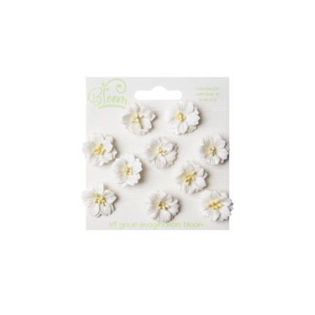 Bloom Flowers Apple Blossoms - White 10pc