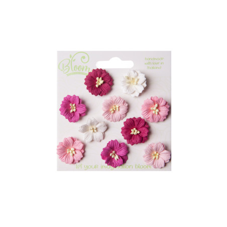 Bloom Flowers Apple Blossoms - Pink 10pc