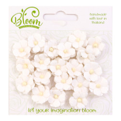 Bloom Flowers Sweetheart Blossom - White