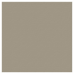 Couture Creations 12 X 12 Scrapbook Textured Cardstock - Ash/Silver Star 216gsm