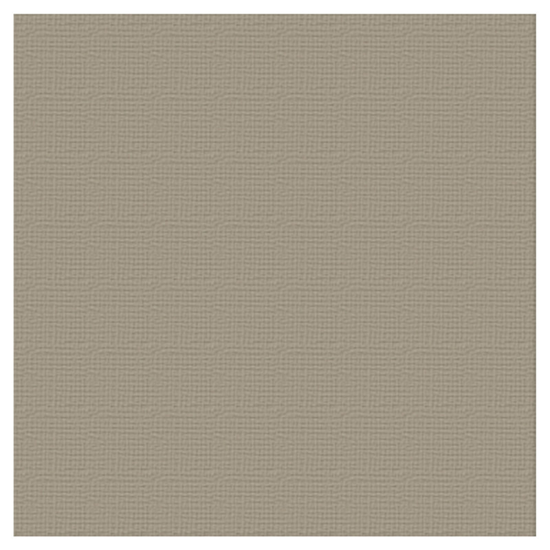 Couture Creations 12 X 12 Scrapbook Textured Cardstock - Ash/Silver Star 216gsm