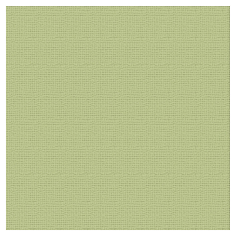 Couture Creations 12 X 12 Scrapbook Textured Cardstock - Mint/Verde 216gsm