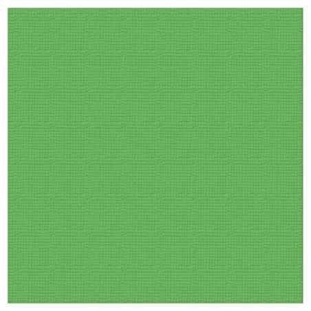 Couture Creations 12 X 12 Scrapbook Textured Cardstock - Grass/Leprechaun 216gsm