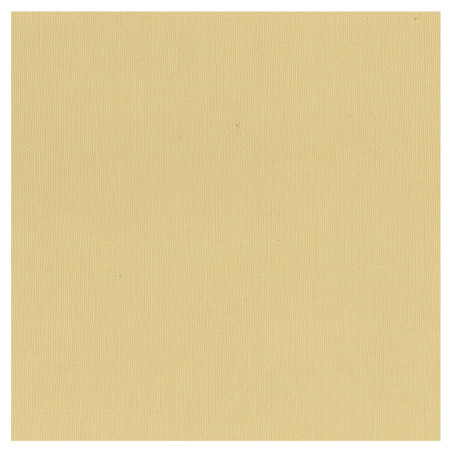 Couture Creations 12 X 12 Scrapbook Textured Cardstock - Oatmeal/Oats 216gsm
