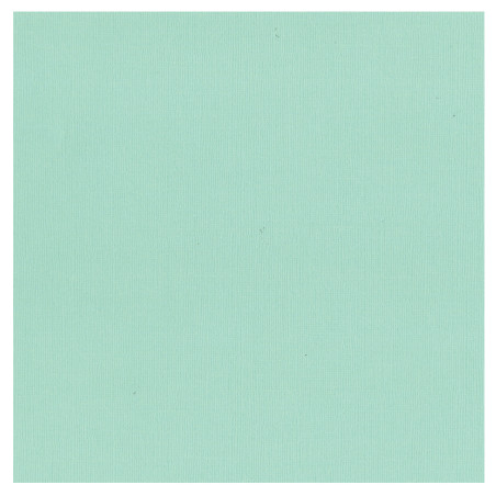 Couture Creations 12 X 12 Scrapbook Textured Cardstock - Bubbles/Bubbly 216gsm