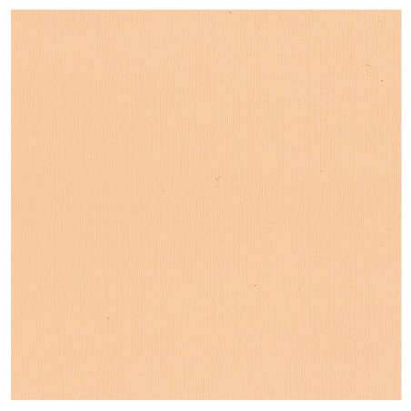 Couture Creations 12 X 12 Scrapbook Textured Cardstock- Shrimp/Soft Peach 216gsm