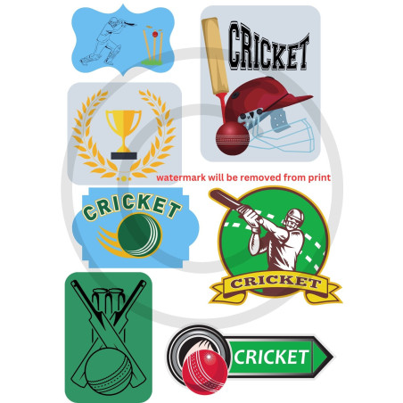 Scrapbook Studio Just Because Sport Cricket A4 Cut Out Sheet