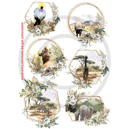 Scrapbook Studio Just Because Wild A4 Cut Out Sheet