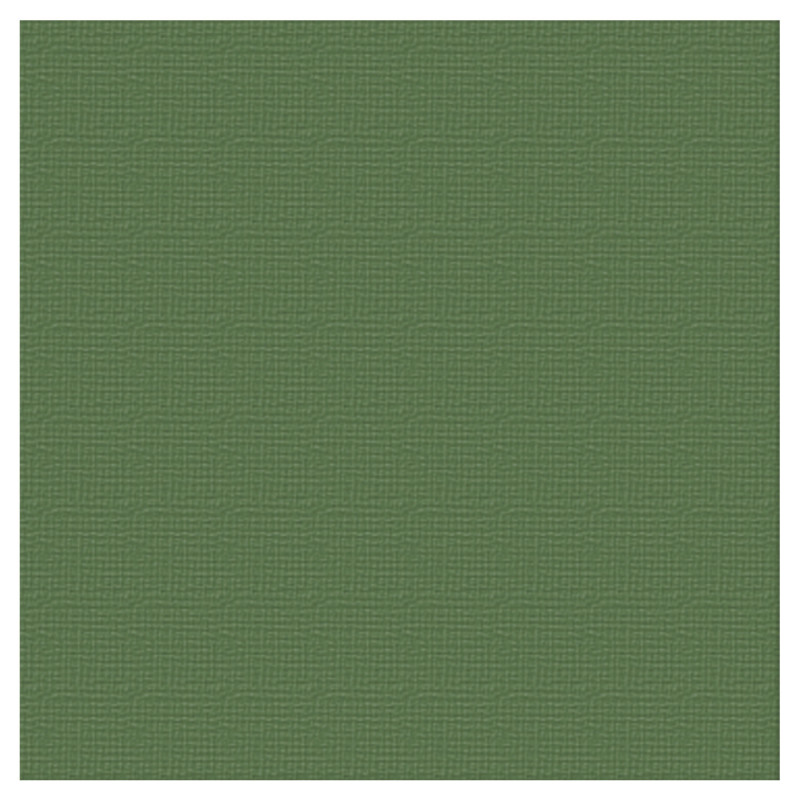 Couture Creations 12 X 12 Scrapbook Textured Cardstock - Pine/Cypress Pine 216gsm