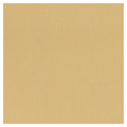 Couture Creations 12 X 12 Scrapbook Textured Cardstock - Latte/Chai 216gsm