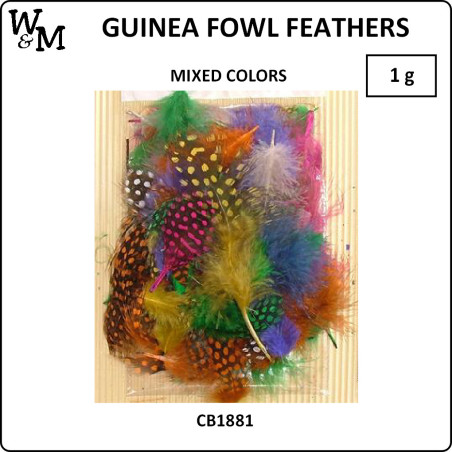 W&M Ginea Fowl Feathers Mix