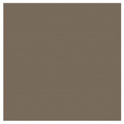 Couture Creations 12 X 12 Scrapbook Textured Cardstock - Nickel/Satin 216gsm