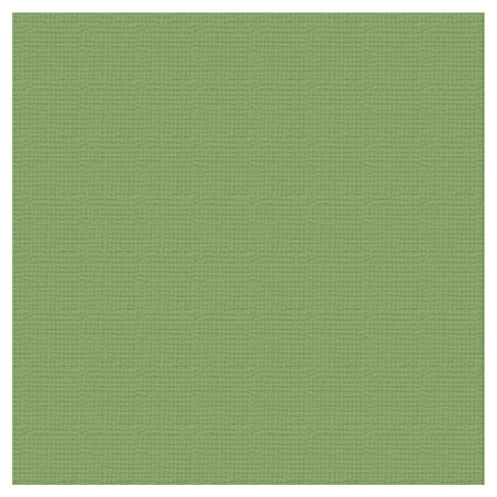 Couture Creations 12 X 12 Scrapbook Textured Cardstock - Moss/Lush 216gsm