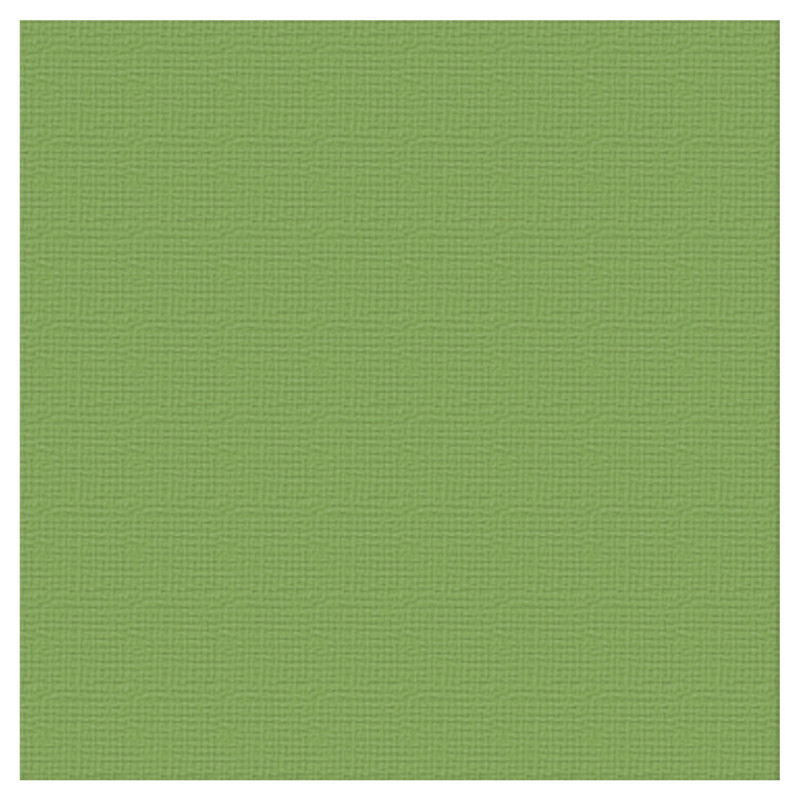 Couture Creations 12 X 12 Scrapbook Textured Cardstock - Spinach/Jungle 216gsm