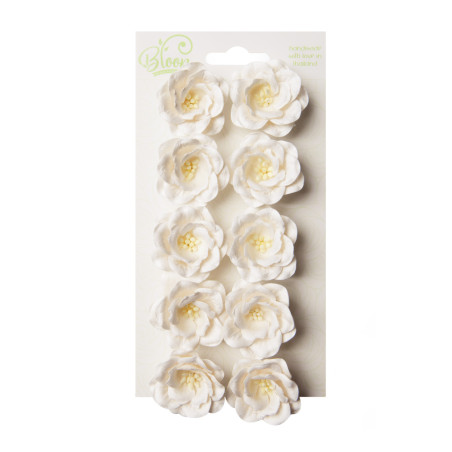 Bloom Flowers Magnolias - White (10pc)