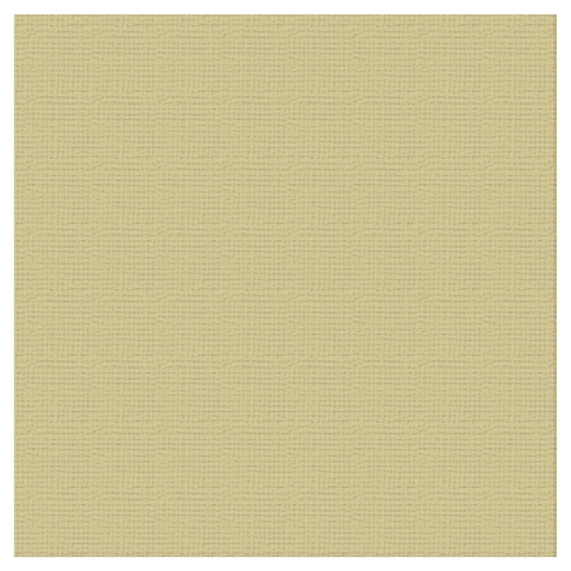 Couture Creations 12 X 12 Scrapbook Textured Cardstock - Sand/Driftwood 216gsm