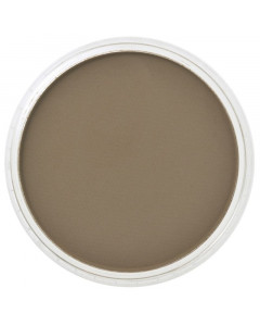 PanPastel  - Raw Umber 780.5