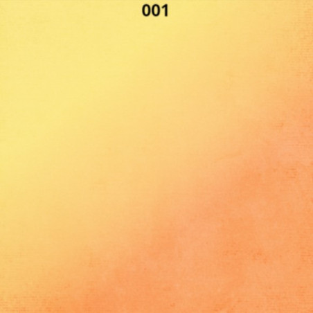 Scrap Collections Paper Poolside- 001