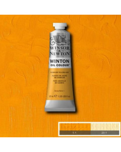 Winsor & Newton Winton Oil...