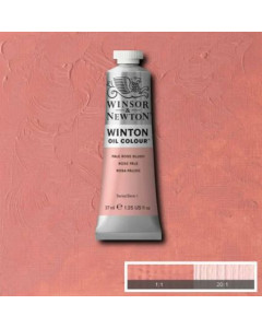 Winsor & Newton Winton Oil...