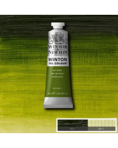 Winsor & Newton Winton Oil...