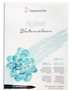 Hahnemuhle Agave...