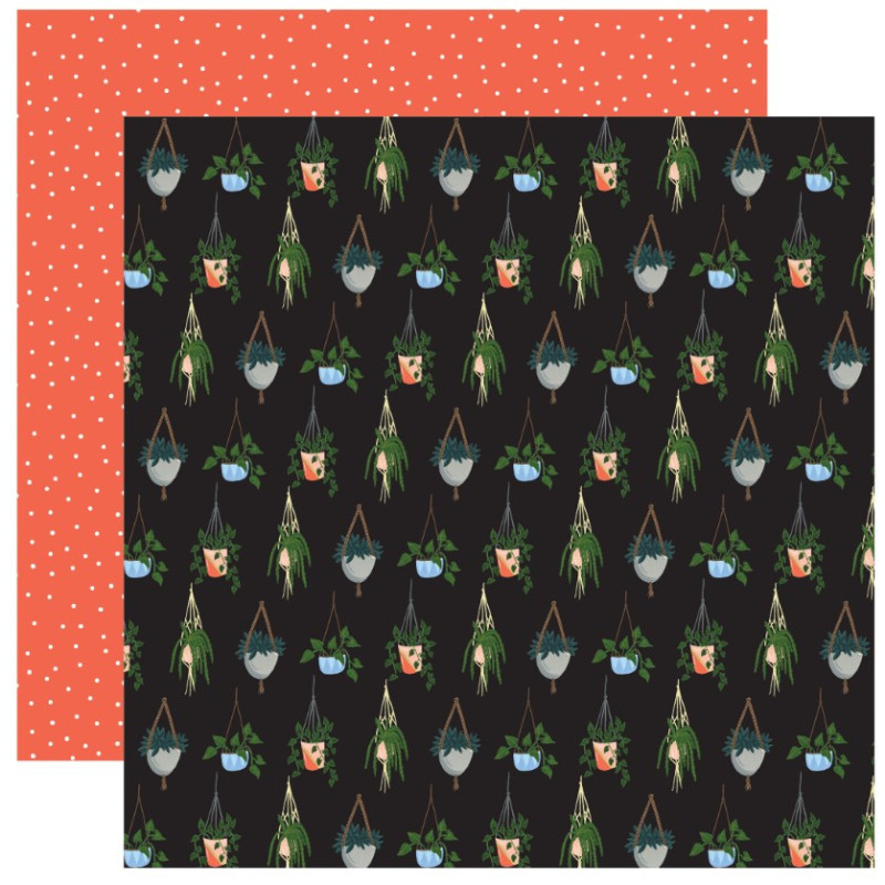 Echo Park Plant Lady 12 x 12 Scrapbook Paper - Hanging Plants