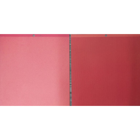 Vicky Boutin 12X12 Bright and Bold Paper 11