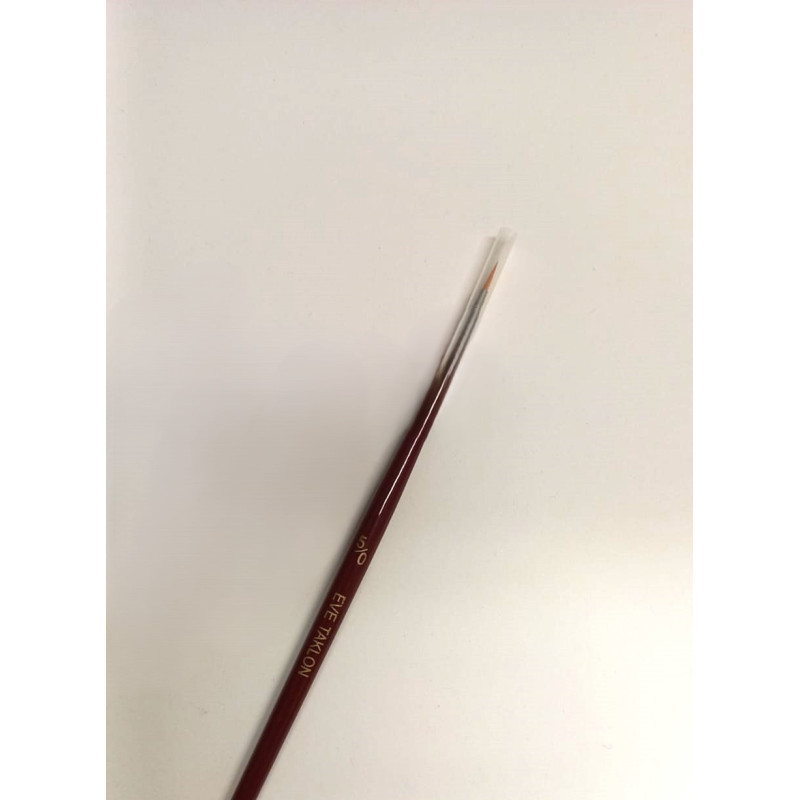 Eve Taklon Brush - 5/0 Round