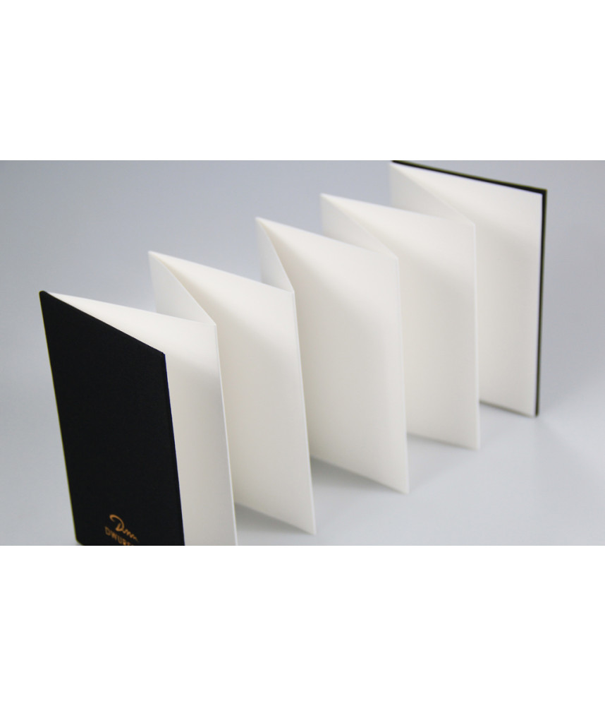 Potentate Watercolour Journal Accordion Fold