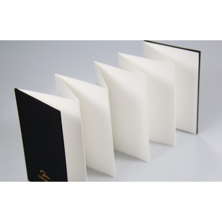 Potentate Watercolour Journal Accordion Fold