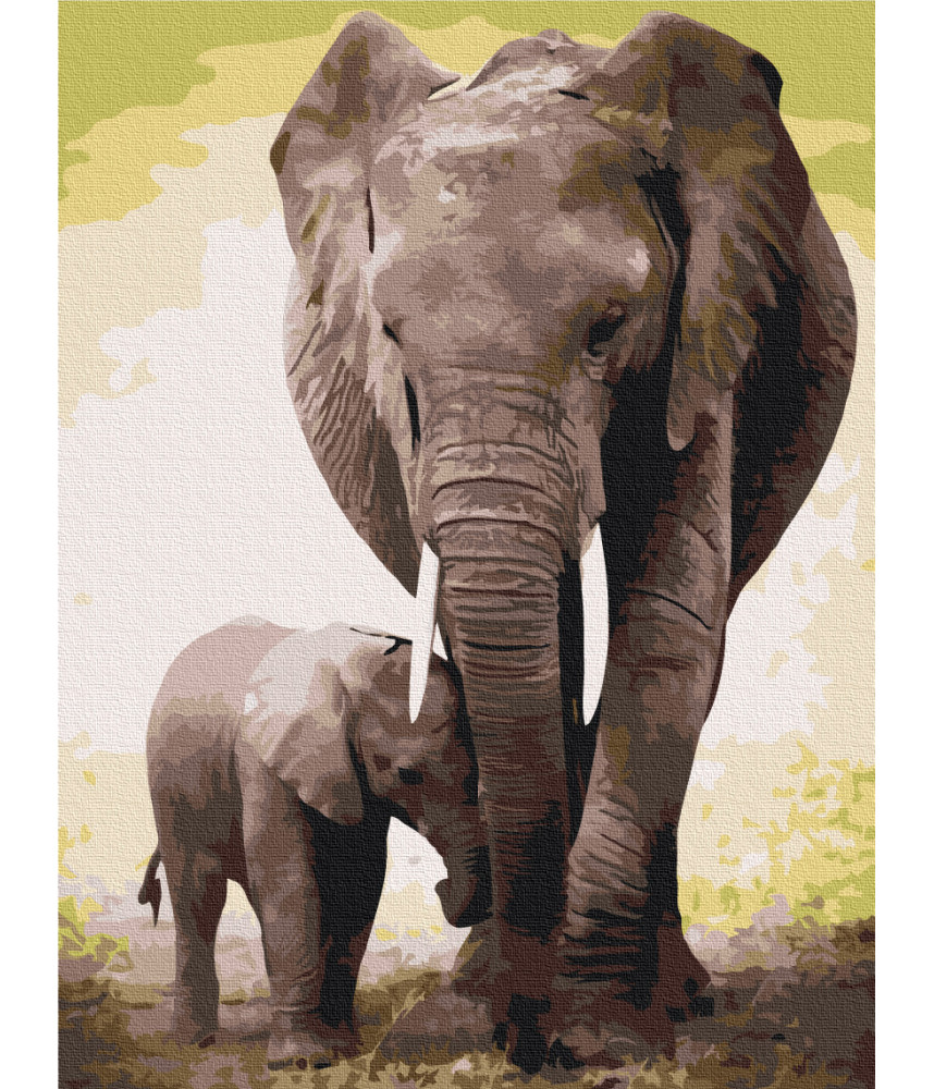 Brushme Paint by numbers The first days of the elephant