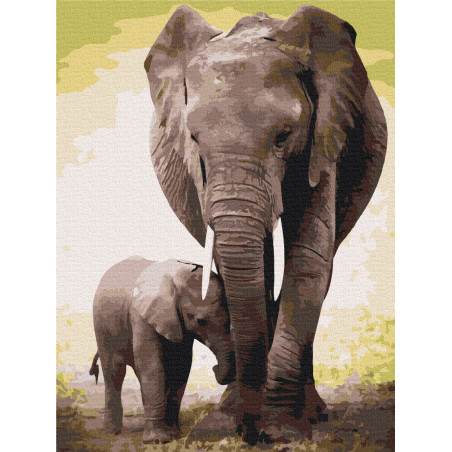 Brushme Paint by numbers The first days of the elephant