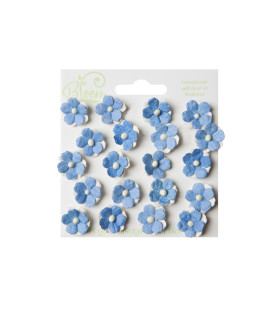 Bloom Flowers Sweetheart Blossoms