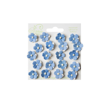 Bloom Flowers Sweetheart Blossoms