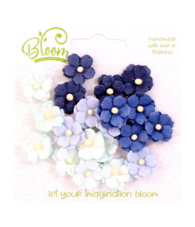 Bloom Flowers Sweetheart Blossoms Blues