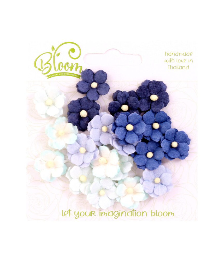 Bloom Flowers Sweetheart Blossoms Blues