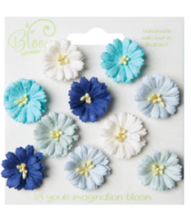 Bloom flowers Cosmos Aqua and Blue