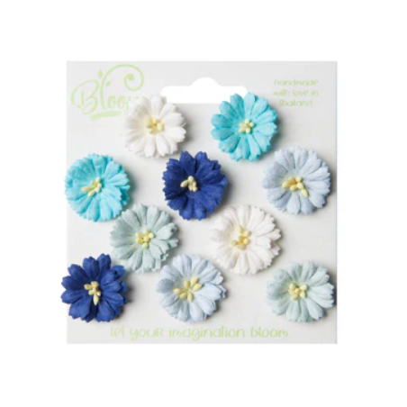 Bloom flowers Cosmos Aqua and Blue