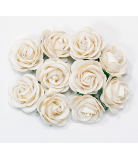 Bloom Flowers Chelsea Roses