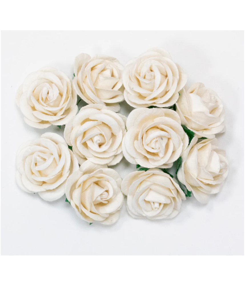 Bloom Flowers Chelsea Roses