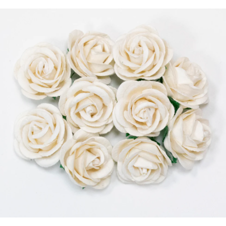 Bloom Flowers Chelsea Roses