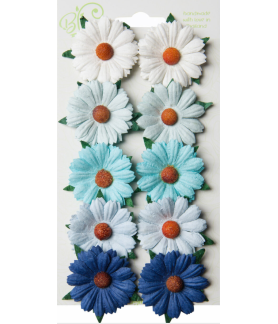 Bloom Flowers Chrysanthemums Blue & White