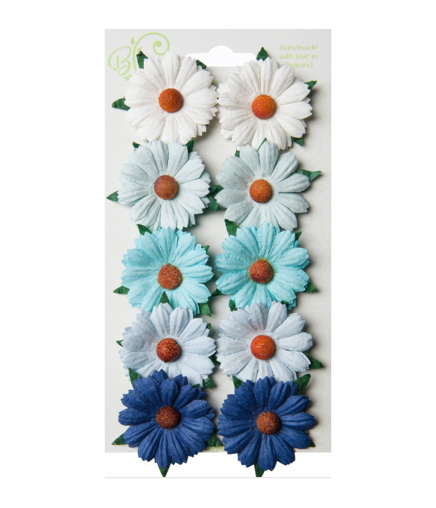 Bloom Flowers Chrysanthemums Blue & White