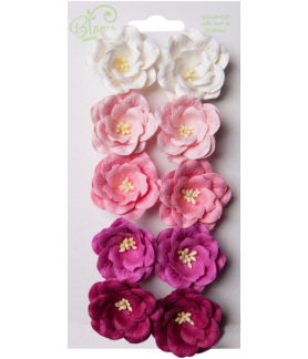 Bloom Flowers Magnolias - Purple