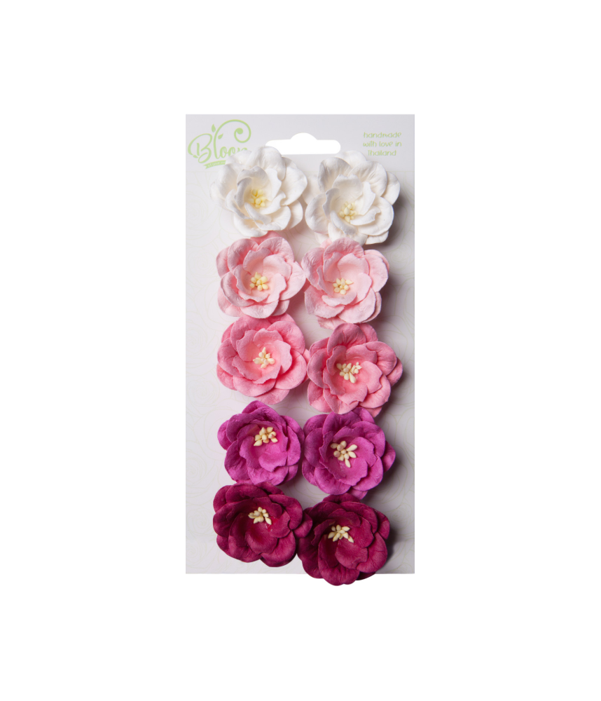 Bloom Flowers Magnolias - Purple